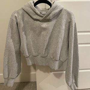 Aritzia/TNA Cropped Hoodie
